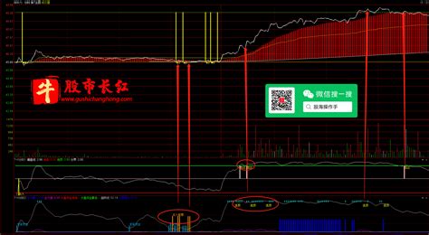 通达信vip指标，通达信分时t0 高抛低吸 分时主图 分时副图指标 套装 适用于可转债分时套利 手机电脑通达信通用 通达信公式 股市长红网