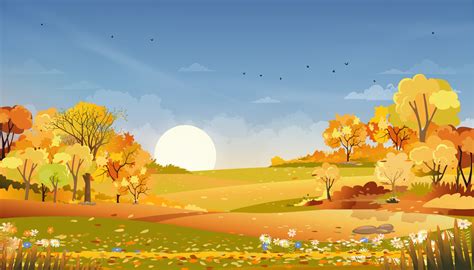 Autumn Rural Landscape Farm Fields And Forest Trees With Orange Sky