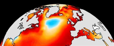 A Mysterious Blob of Cold Water Defies Ocean Heat – Now We Know Why
