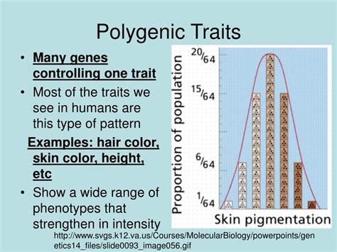 Ppt Complex Inheritance Patterns Powerpoint Presentation Free