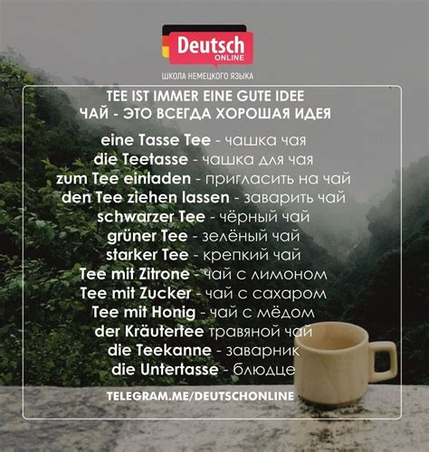 #немецкийязык #немецкийдляначинающих #deutsch #лексика #словарныйзапас ...