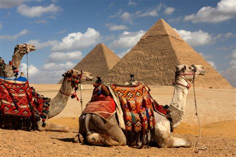 Half Day Tour To Giza Pyramids Cairo Pyramids Tour Deluxe Tours Egypt