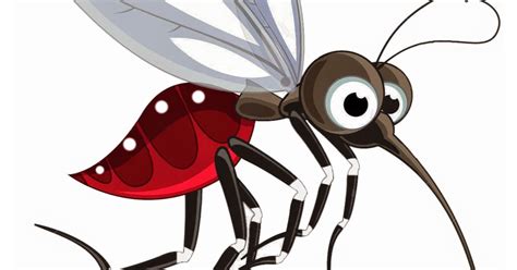 Mosquito Png Images Transparent Free Download