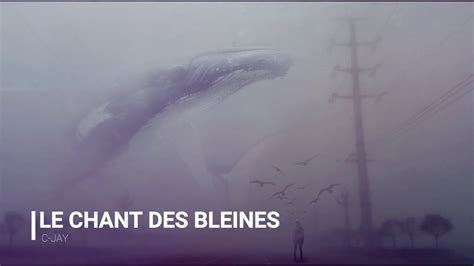 Instru Style Film Le Chant Des Baleines Youtube