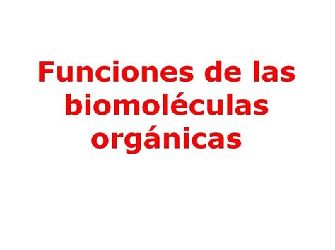 Funciones de las biomoléculas orgánicas YouTube