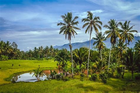 Is It Possible To Buy An Island In Indonesia 2023 Updates Find Islands