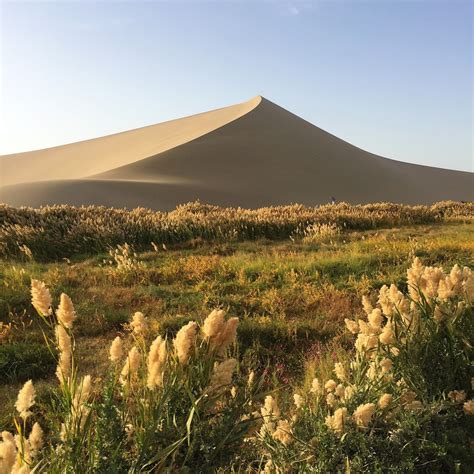 Souvenir Chronicles: DUNHUANG, CHINA: THE GOBI DESERT SAND DUNES