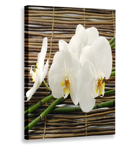 OBRAZ PIONOWY ORCHIDEA BAMBUSY 30x40 W PIONIE 1213 30x40 Cena