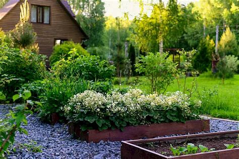 Transforma tus desechos orgánicos en abono para plantas Morgane garden