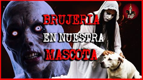 BRUJERÍA DENTRO DE NUESTRA MASCOTA HISTORIAS DE BRUJERÍA REAL YouTube