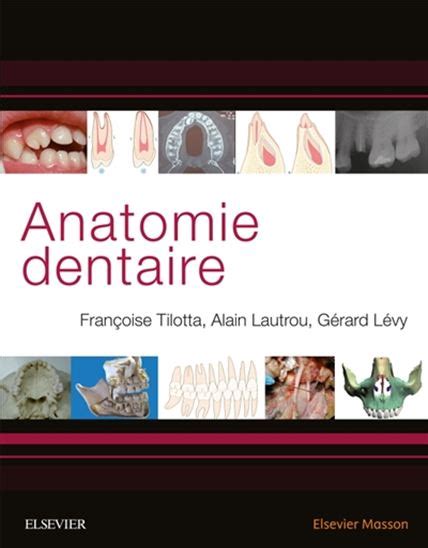 Anatomie dentaire par TILOTTA FRANÇOISE AL Anatomy Anatomy and