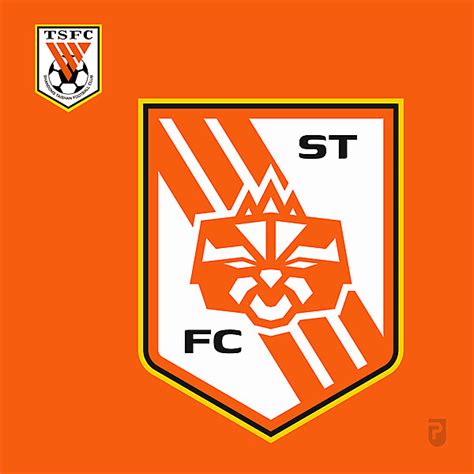 Shandong Taishan FC