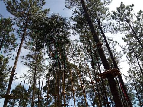 Parque Aventura Pousos Leiria Aktuelle Lohnt Es Sich Mit Fotos