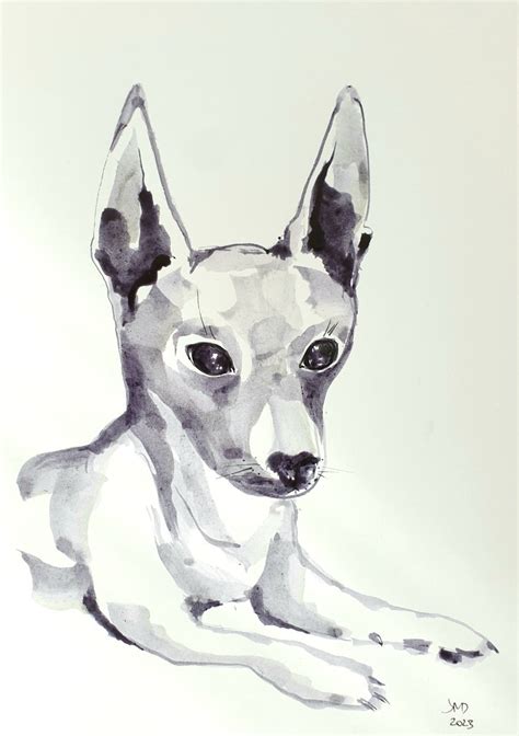 Small dog portrait Ink drawing by Ksenia June | Artfinder