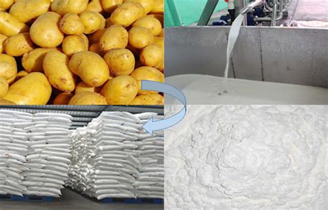 Techniques For Isolation Of Starch From Potato Industry News