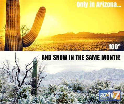 The 15 Best 'Meanwhile in Arizona' Memes That We Can All Relate To