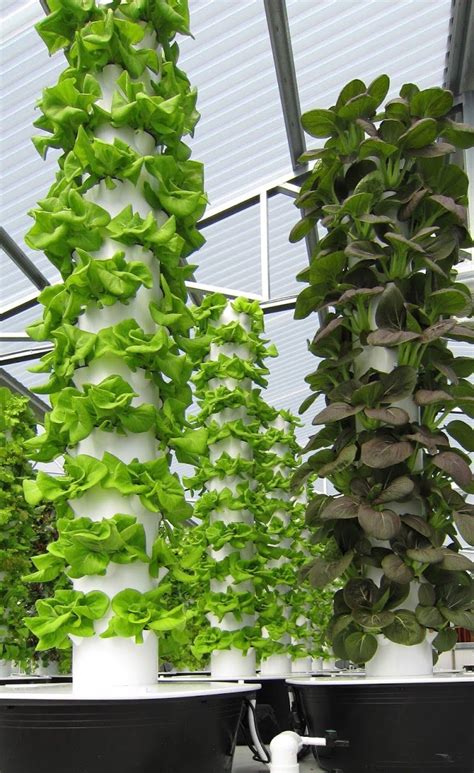 Future Growing Tower Gardens At The GreenHouse Vertical Farming