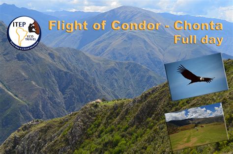 Flight of Condor Full day