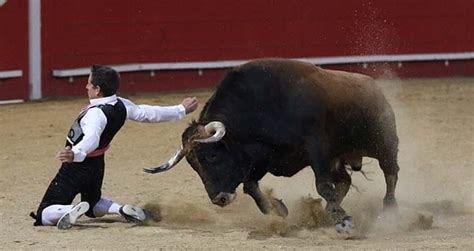 Web De Festejos Taurinos Populares ToroAlcarria