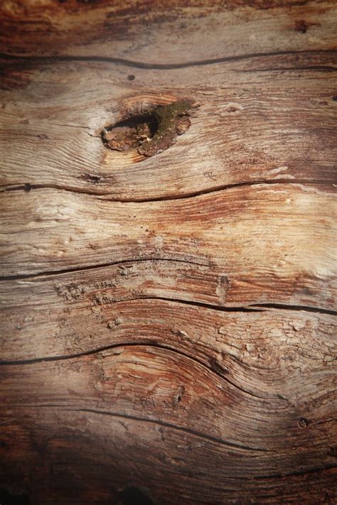 891 Old Rich Wood Grain Texture Background Stock Photos Free