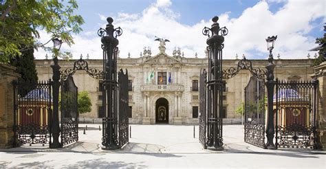 Universidad De Sevilla Udep Internacional