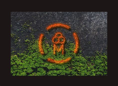 МОРОЖЕНОЕ on Behance