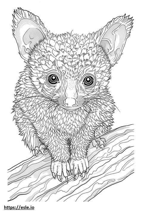 African Palm Civet baby coloring page