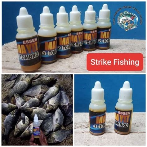 Jual Esen Mayit Tombro Ikan Mas Shopee Indonesia