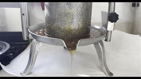 2022 Layens Honey Extraction With Italian Honey Press YouTube