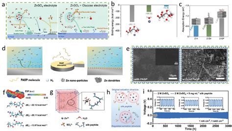 (a) Illustrations of Zn 2+ solvation structure and interfacial... | Download Scientific Diagram