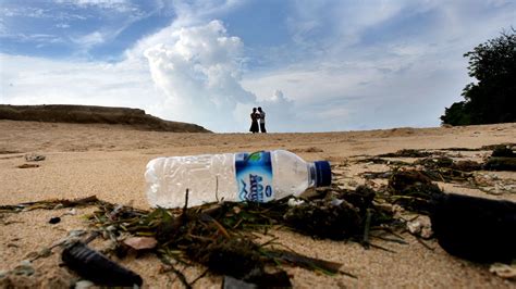 Environnement WWF alerte sur la pollution liée au plastique dans la