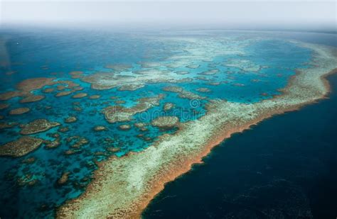 Aerial View Of Great Barrier Reef Coral Reef Structure In Whitsundays Aerilie Beach Queensland