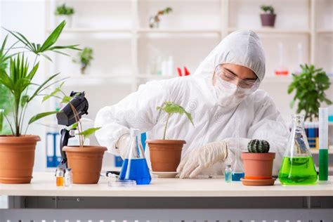 Qu Mico De La Biotecnolog A Que Trabaja En Laboratorio Imagen De