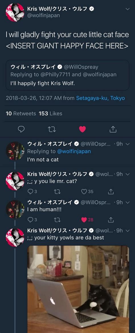 The Wolf Vs. The Cat. : r/stardomjoshi