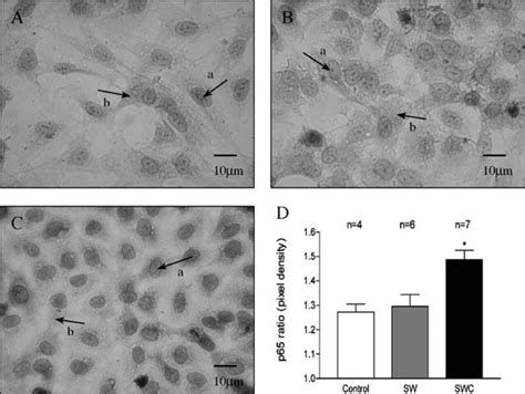 Proinflammatory Reaction And Cytoskeletal Alterations In Endothelial