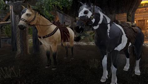 Skyrim Mod Adds the Horses from The Witcher 3 - GameNGadgets