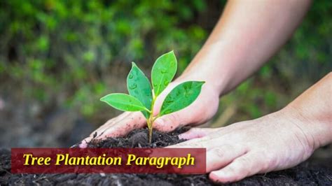 Tree Plantation Paragraph For Class 678910 Ssc Hsc