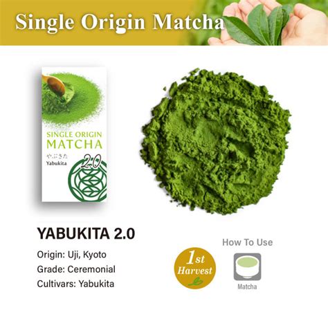 Yabukita Single Origin Ceremonial Grade 20 Matcha 100 ขนาด 30g