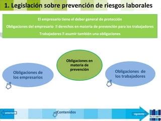 Ud La Prevencion De Riesgos Legislaci N Y Organizacion Pptx