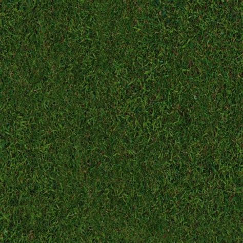 Green Grass Texture Seamless 13024