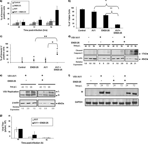 Targeting The Apoptotic Pathway With Bcl 2 Inhibitors Sensitizes