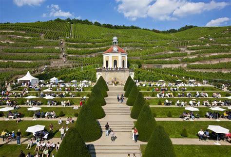 Federwei Erfest Auf Schloss Wackerbarth Sachsen Tours