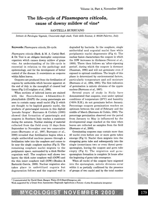 (PDF) The life-cycle of Plasmopara viticola, cause of downy mildew of vine