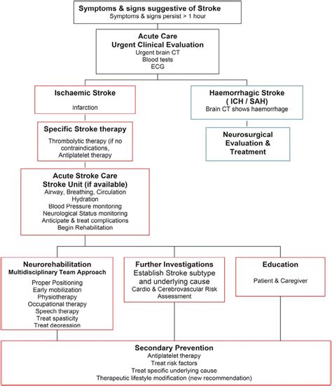 Stroke Care Management Algorithm Adapted From The 2012 National Download Scientific Diagram