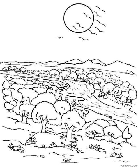 Sun Tree River Coloring Page Turkau