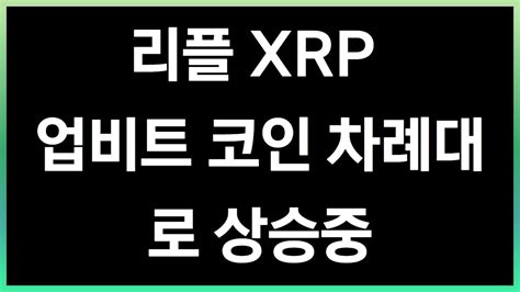 리플 Xrp 업비트 코인 차례대로 상승중 🚀 리플코인 비트코인 이더리움 에이다 도지코인 코인애호가 Youtube