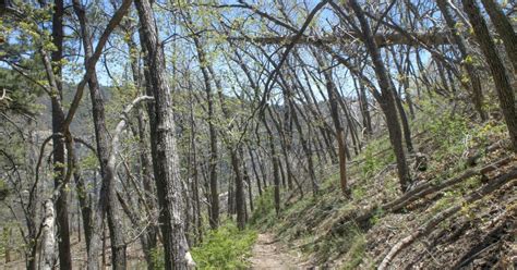 Coronado National Forest National Forest Foundation