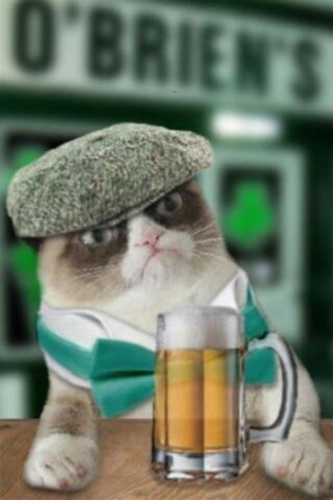 Irish Grump Cat Meme Generator