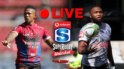 Live Sharks Vs Lions