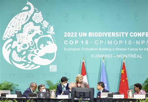 22dec19 Cop15 Adoption Of The Kunming Montreal Framework 8 Flickr